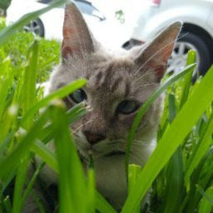 Meet your Posher, Jillian